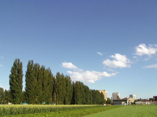 Sapporo Clark Hotel Exterior foto
